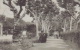 Viale del Tettuccio, 1910